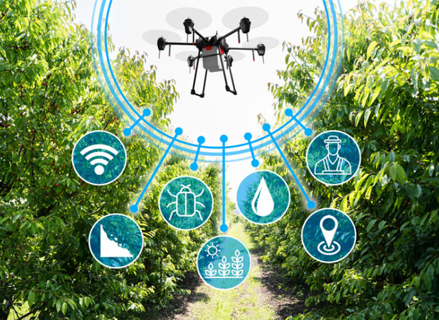 Dron agricultura